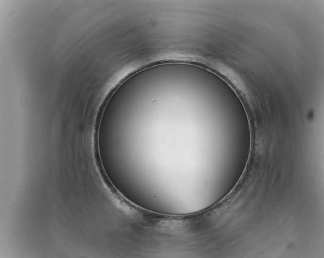 X0000091071237200708131145