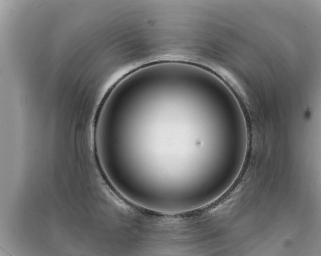 X0000091071238200708131145
