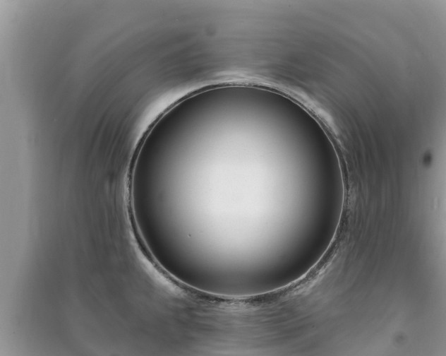 X0000091071239200708131145