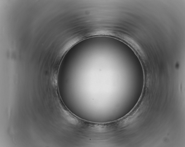 X0000091071241200708131145