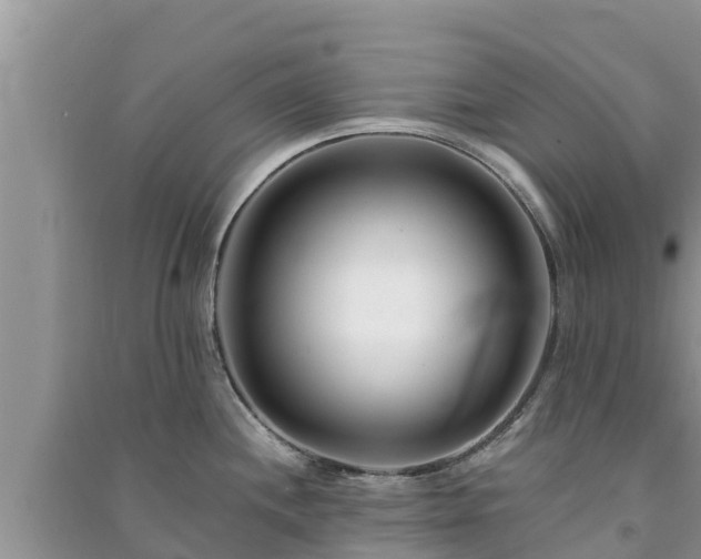 X0000091071244200708131146