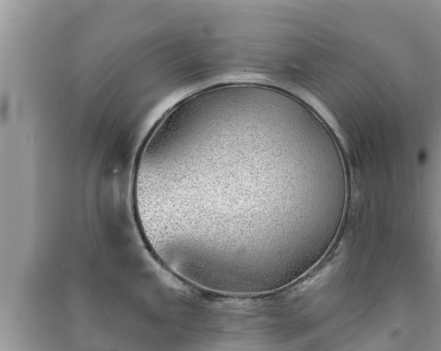 X0000091071245200708131146