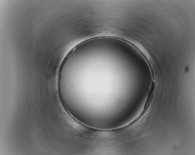 X0000091071246200708131146
