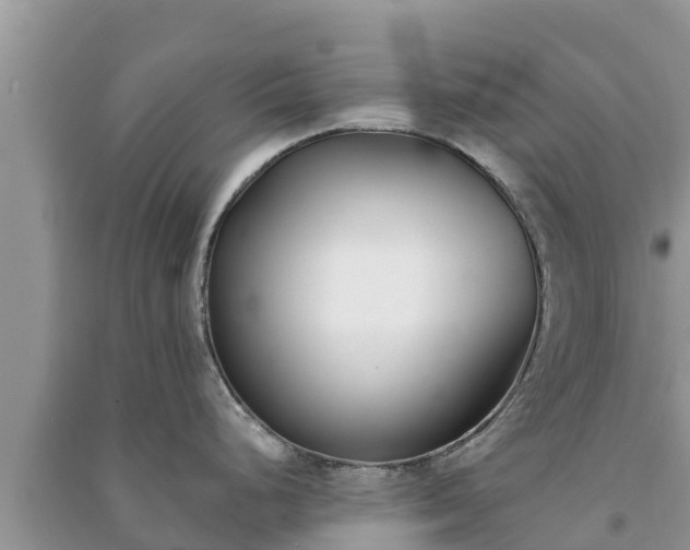 X0000091071248200708131146