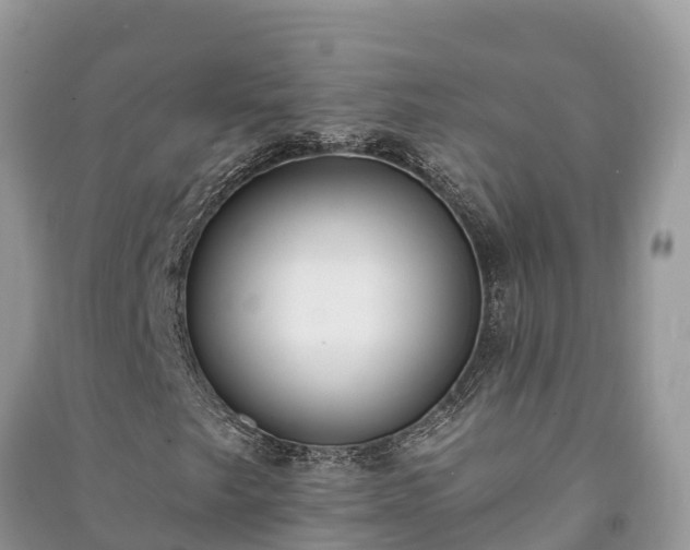 X0000091071249200708131145