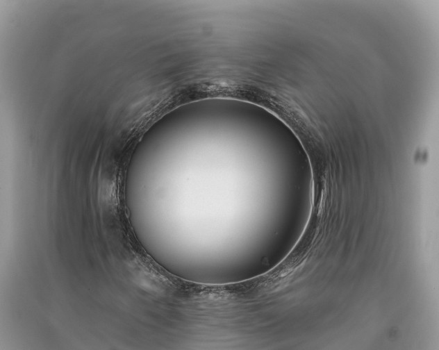 X0000091071250200708131145