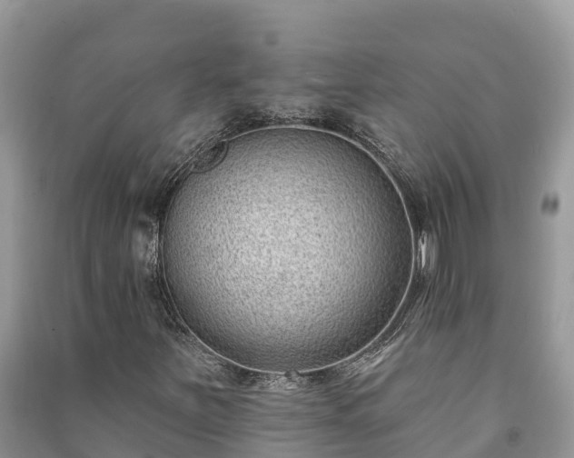 X0000091071251200708131145