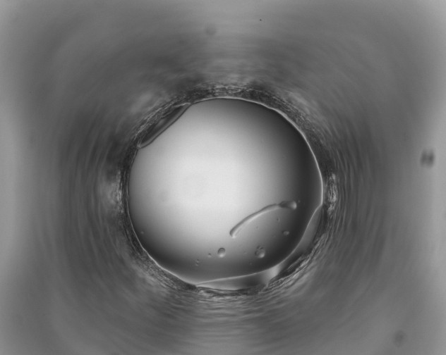 X0000091071252200708131145