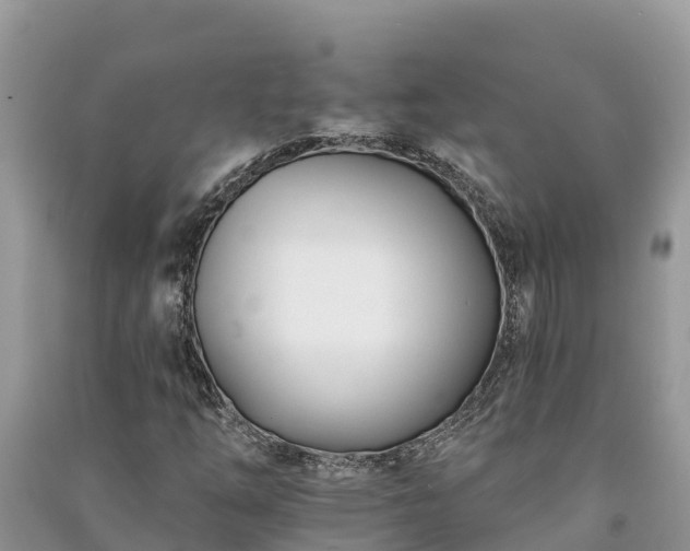 X0000091071254200708131145