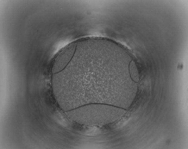 X0000091071255200708131145
