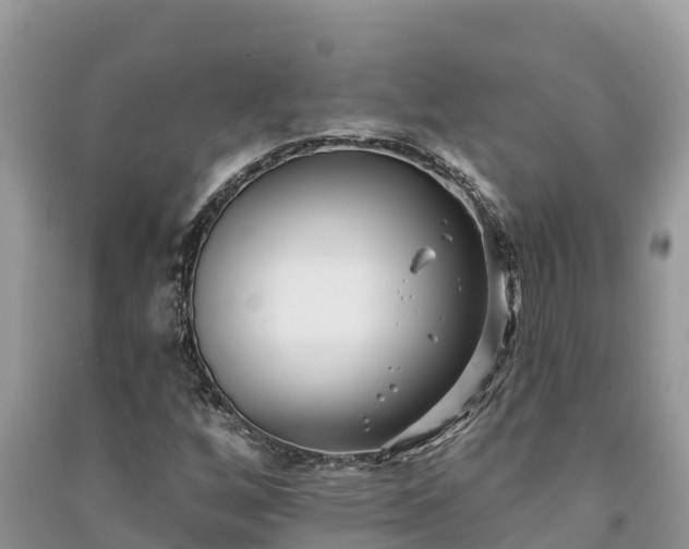 X0000091071256200708131145