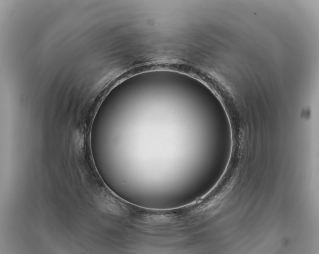 X0000091071257200708131145