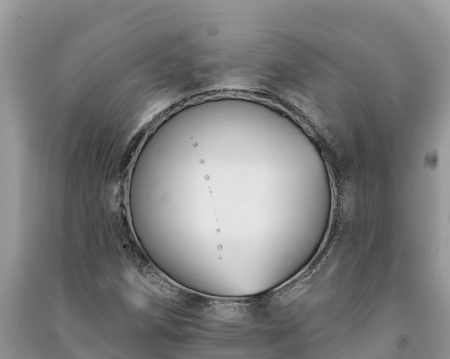 X0000091071258200708131145