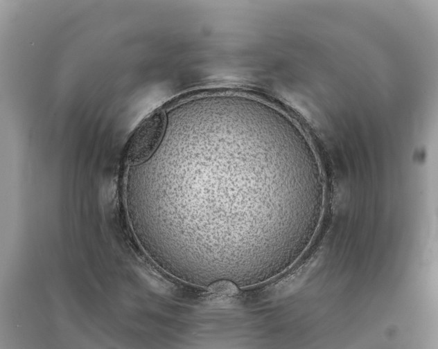 X0000091071259200708131145
