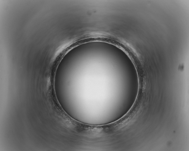 X0000091071261200708131145