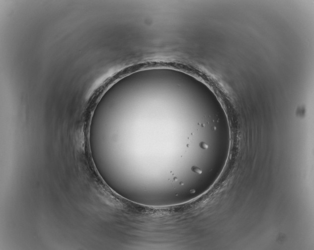 X0000091071262200708131145