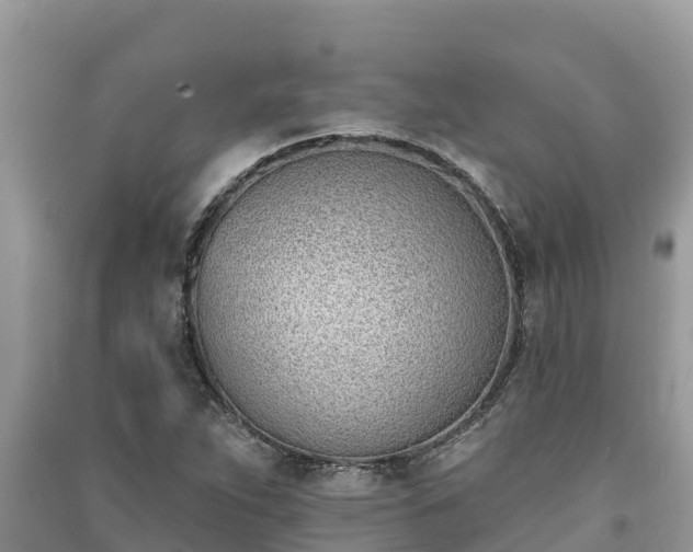 X0000091071263200708131145