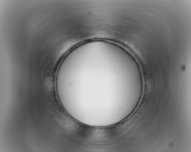 X0000091071266200708131145