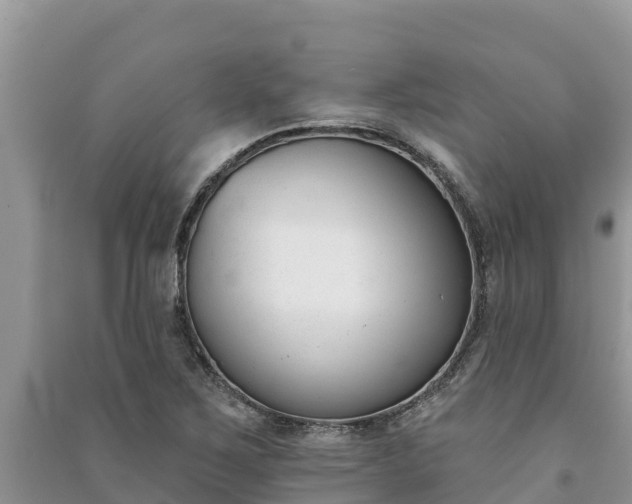X0000091071267200708131145