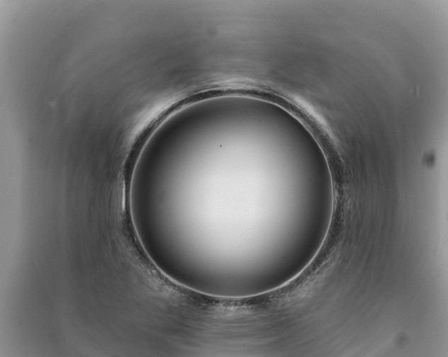 X0000091071269200708131145