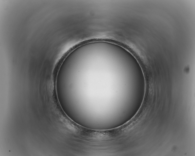 X0000091071270200708131145