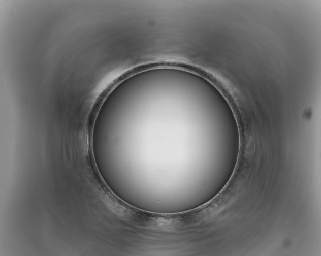 X0000091071271200708131145