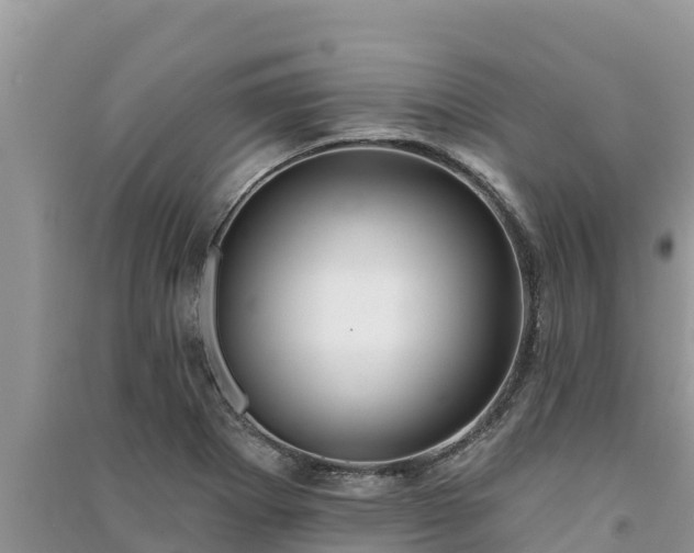 X0000091071273200708131145