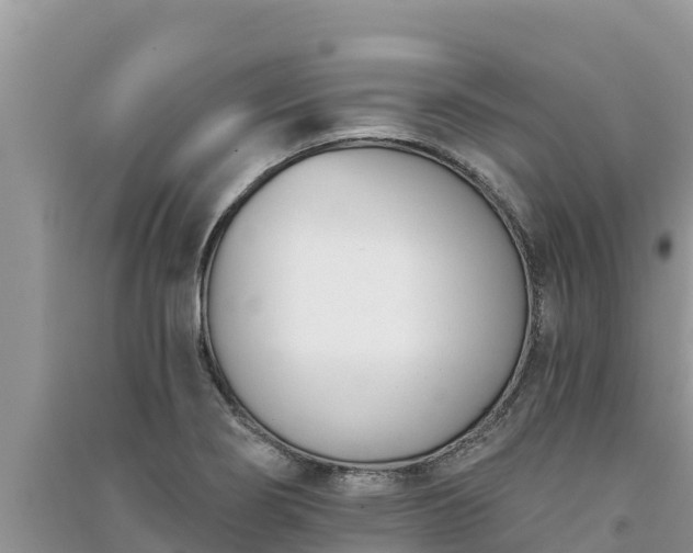 X0000091071274200708131145