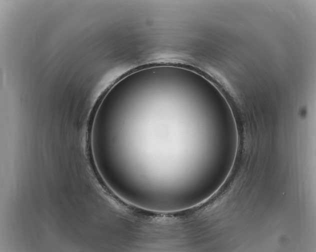 X0000091071277200708131145