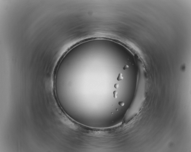X0000091071280200708131144