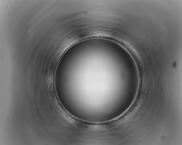 X0000091071281200708131144