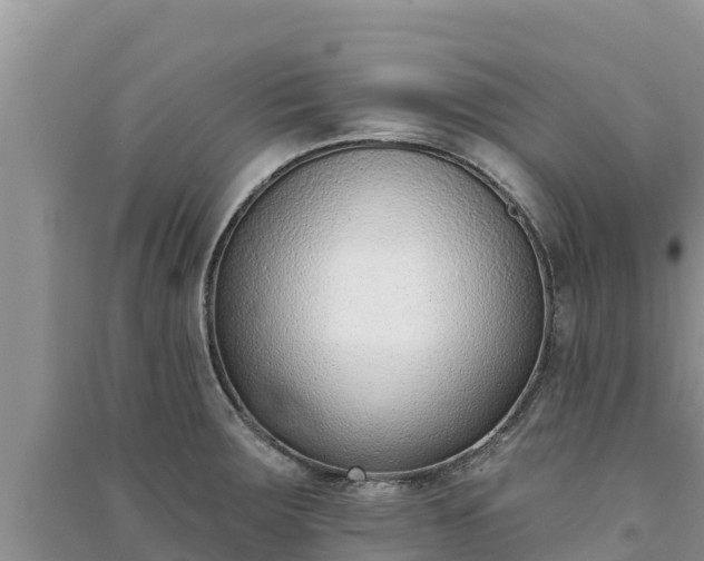 X0000091071283200708131144