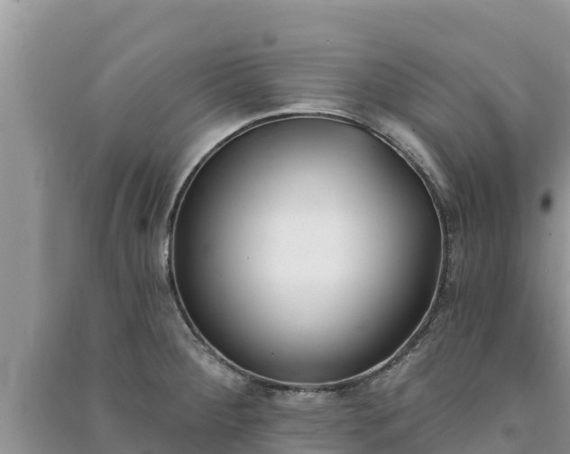 X0000091071284200708131144