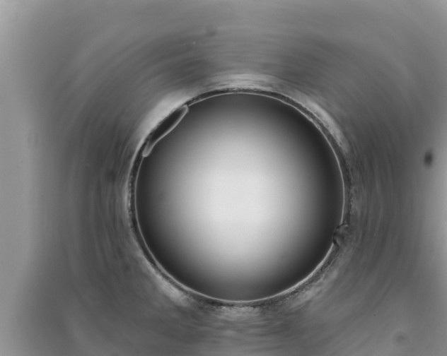 X0000091071285200708131144