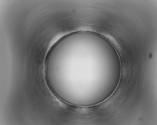 X0000091071286200708131144