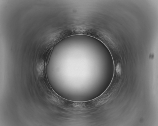 X0000091071299200708131144