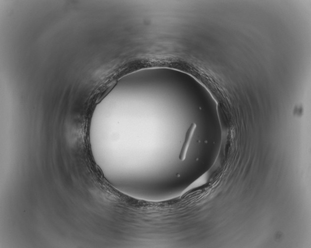 X0000091071300200708131144