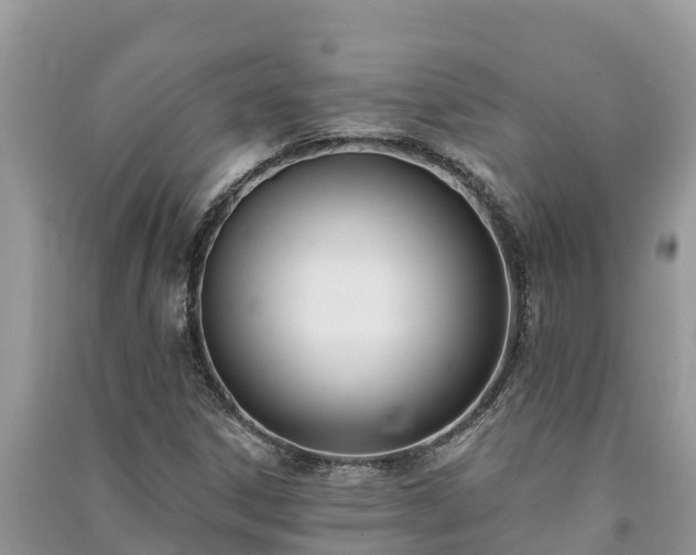 X0000091071306200708131144