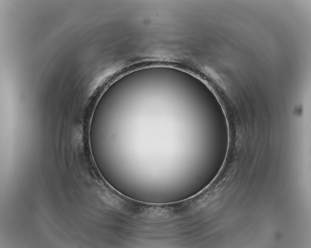 X0000091071307200708131144