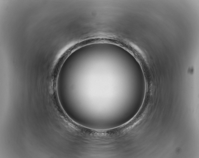 X0000091071310200708131144