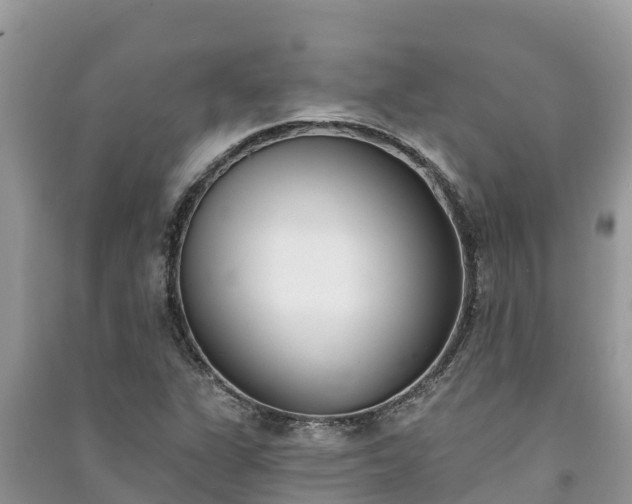 X0000091071311200708131144