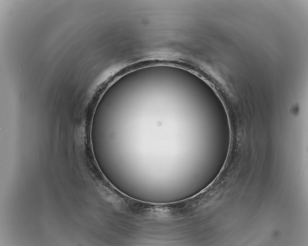 X0000091071315200708131144