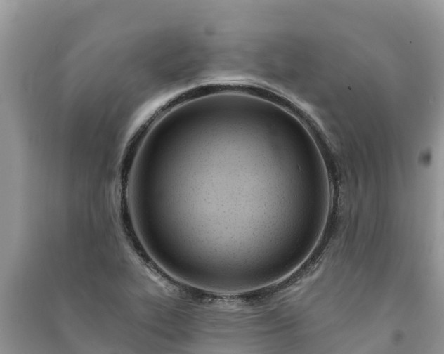 X0000091071319200708131144