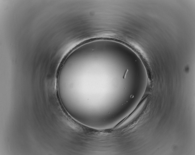 X0000091071324200708131144
