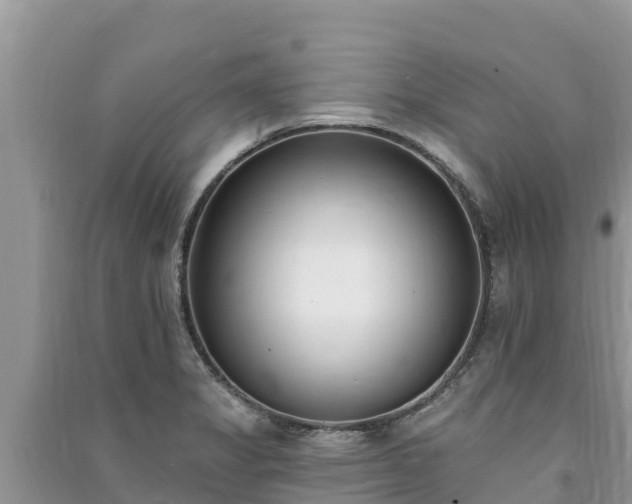 X0000091071325200708131144