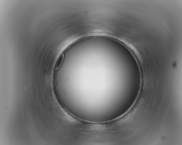 X0000091071333200708131144