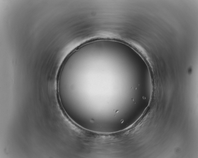 X0000091071335200708131144