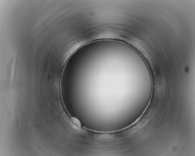X0000091071337200708131144