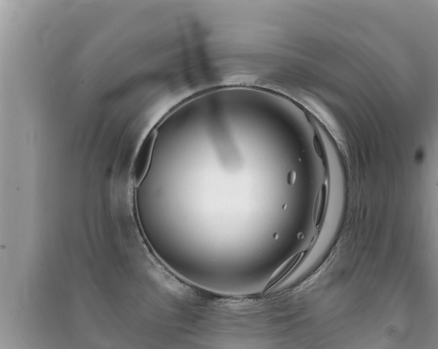 X0000091071340200708131144