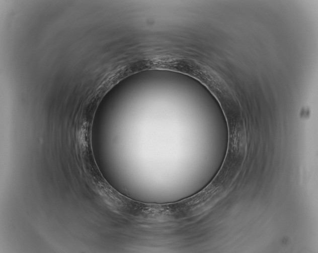 X0000091071346200708131144